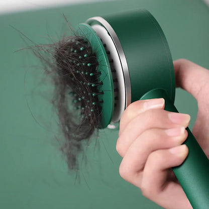 Self Cleaning Anti-Static Hair Brush
